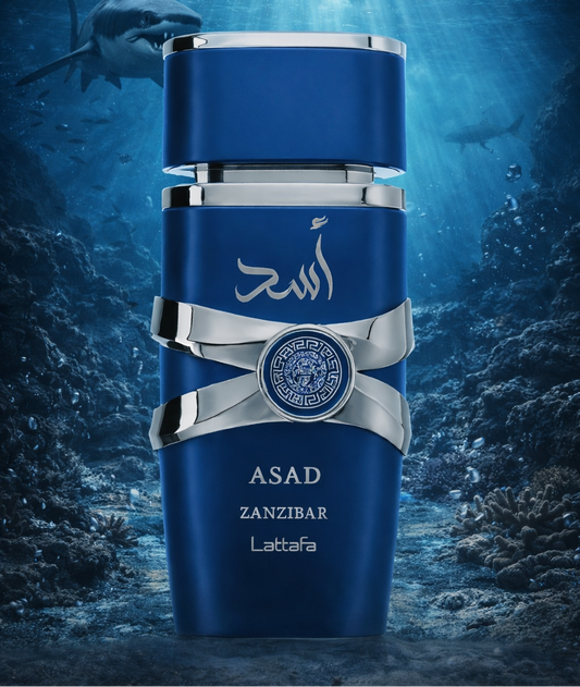Asad Zanzibar 100ml - NOUVELLE SENTEUR